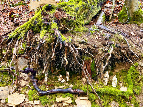 Krippe Hospiz Verein Die Wurzeln eines umgestürzten Baums, geschmückt mit Moos und Holzfiguren, darunter eine Krippenszene.