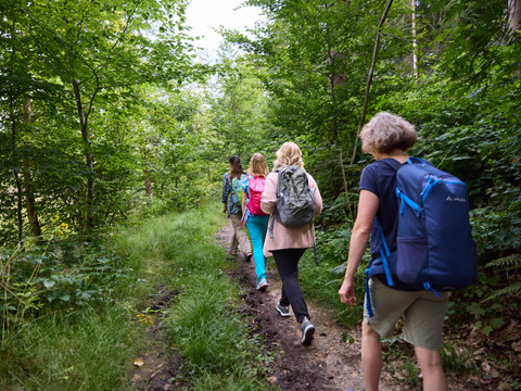 Bergische Wanderwoche Personengruppe beim Wandern auf einem schmalen, grünen Waldweg mit Bäumen und dichtem Laub.