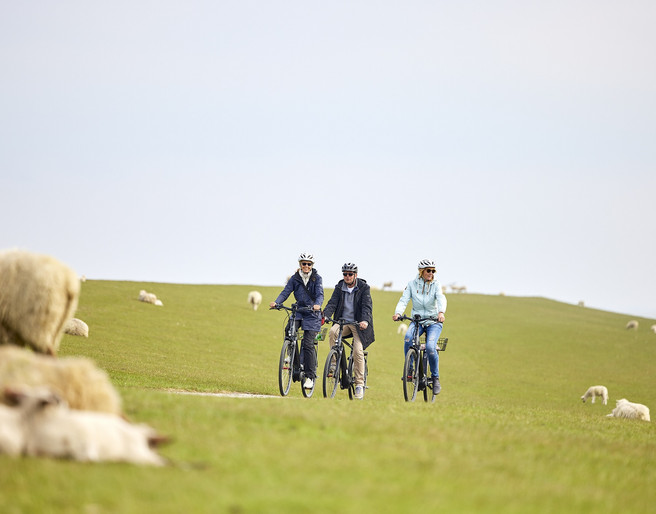 E-Bike-Tour am Sylter Deich