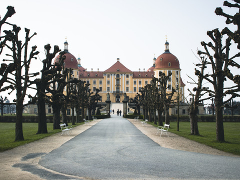 Schloss Moritzburg.jpg Schloss Moritzburg mit kahlen Bäumen im Vordergrund und blauem Himmel im Hintergrund.Moritzburg Castle with bare trees in the foreground and blue sky in the background.Zámek Moritzburg s holými stromy v popředí a modrou oblohou v pozadí.Zamek Moritzburg z nagimi drzewami na pierwszym planie i błękitnym niebem w tle.Kasteel Moritzburg met kale bomen op de voorgrond en blauwe lucht op de achtergrond.Il castello di Moritzburg con gli alberi spogli in primo piano e il cielo azzurro sullo sfondo.
