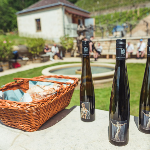 Dresden für Entdecker Dresden für Entdecker: Weingenuss im ElblandDresden for explorers: wine enjoyment in the Elbe region