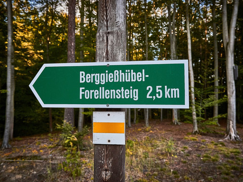 Forellensteig Berggießhübel
