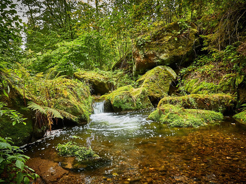 Forellensteig Berggießhübel