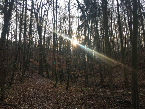 Wanderweg hinauf nach Köttewitz