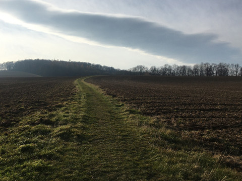 Wanderweg kurz nach Köttwitz