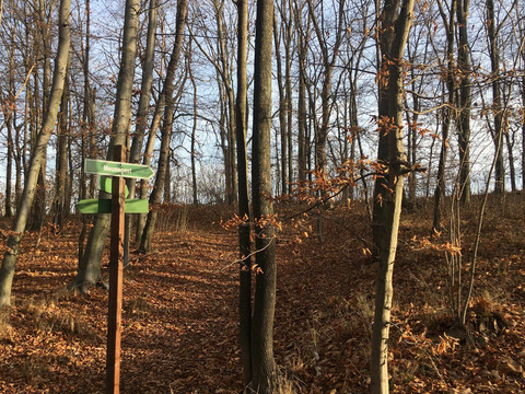 Wanderweg oberhalb von Schloss Weesenstein