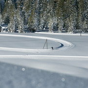 Langlaufen inmitten der Sörenberger Winterwelt