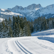 Die herrliche Aussicht von der Langlaufloipe