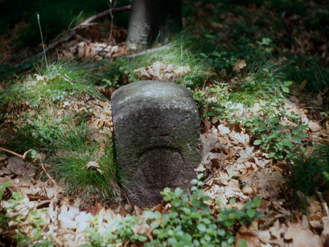 Alter Grenzstein des Hartmannsdorfer Forsts