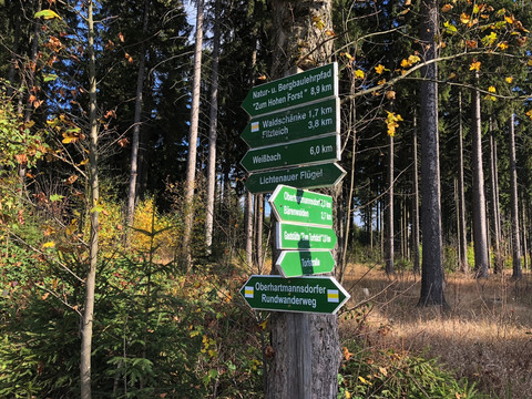 Wegweiser im Hartmannsdorfer Forst am Wettiner Platz