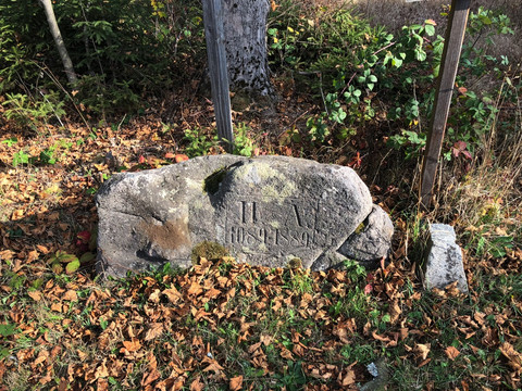 Wettiner Platz im Hartmannsdorfer Forst