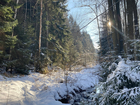 Winterliches Bielatal