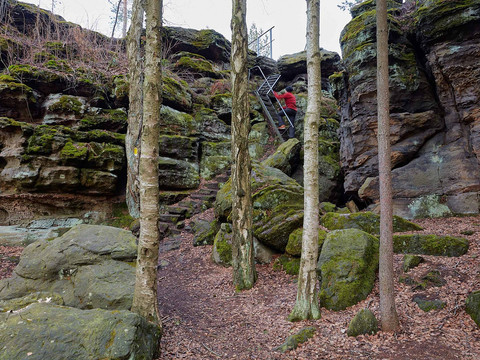 Aufstieg zur Johanniswacht im Bielatal