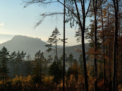 Blick zum Lilienstein
