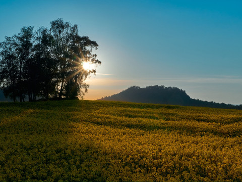 Zwischen Thürmsdorf und Weißig