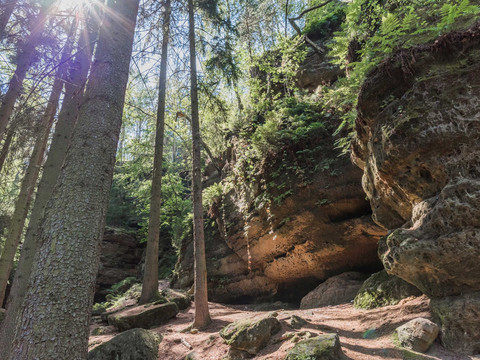 Wanderweg 7. Etappe Malerweg