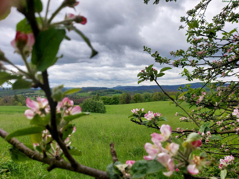 Blick in die Hintere Sächsische Schweiz vom Panoramaweg