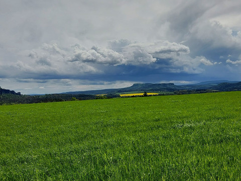 Blick zu den Schramm- und Zschirnsteinen