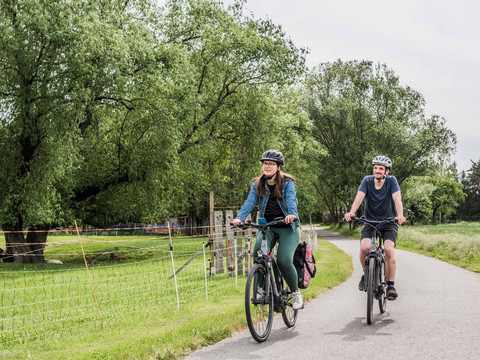 Am Elberadweg in Pirna-Pratzschwitz