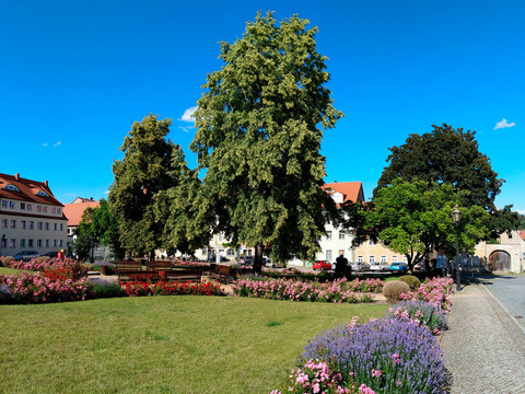 Marktplatz in Dohna