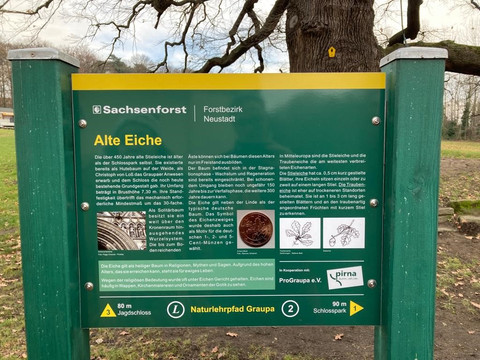 Lehrtafel "Alte Eiche"