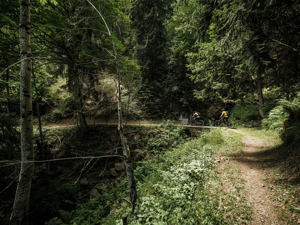 Enduro-Mountainbike in der Aletsch Arena