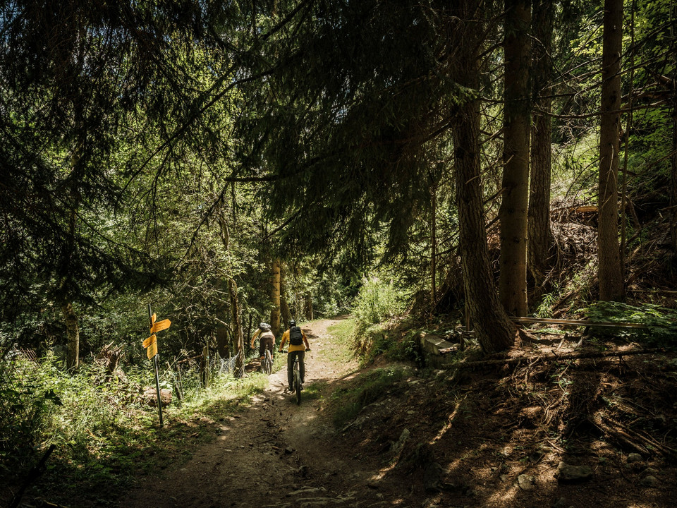 Enduro-Mountainbike in der Aletsch Arena