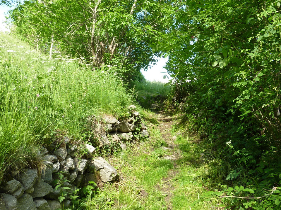 Themenweg Kulturlernpfad Bettmeralp nach Betten Dorf