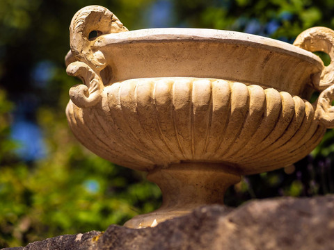 Details im Garten (2)