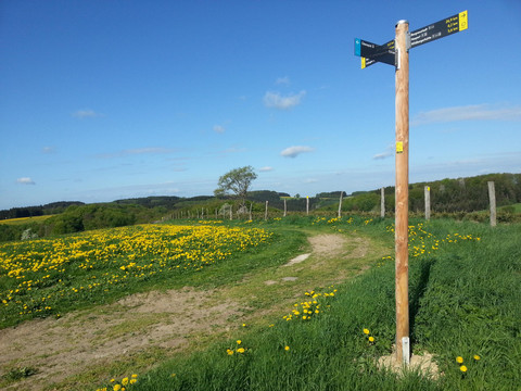 Panoramasteig-Et-4_WRO_130510_15
