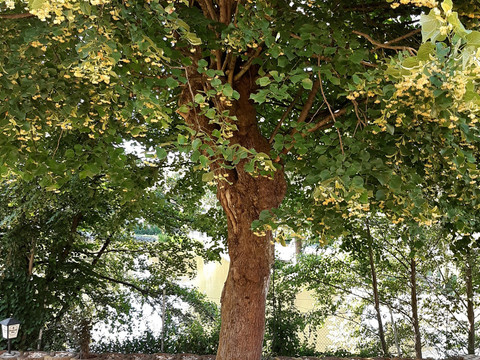 Blick auf die Teichanlage