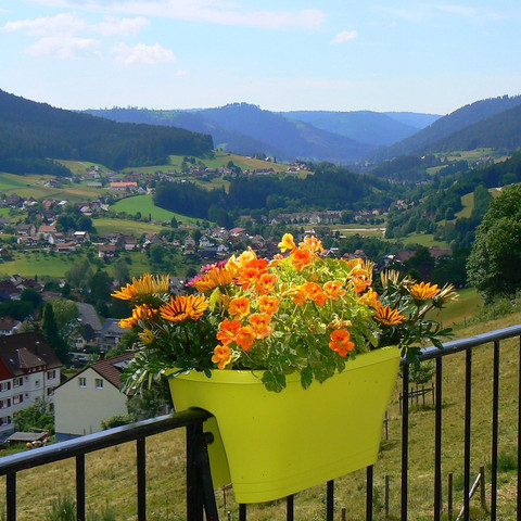 Terrasse - Pension Garni Talblick