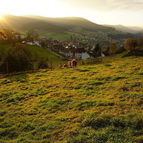 Aussicht - Pension Garni Talblick