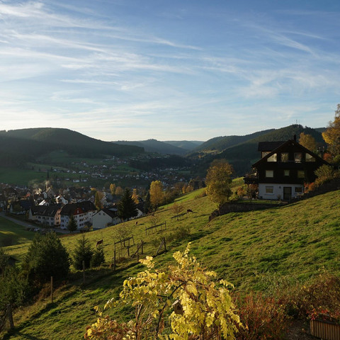 Aussicht - Pension Garni Talblick