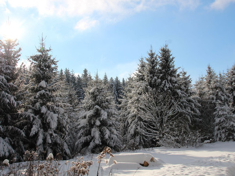 Winterlandschaft (4)