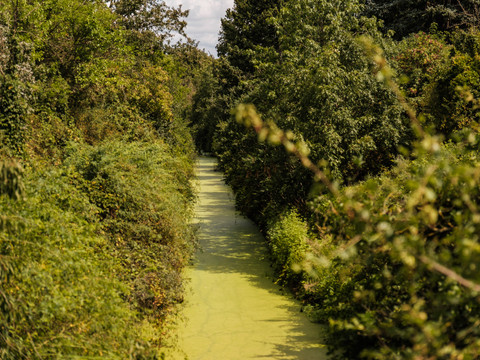 Floßkanal bei Glaubitz