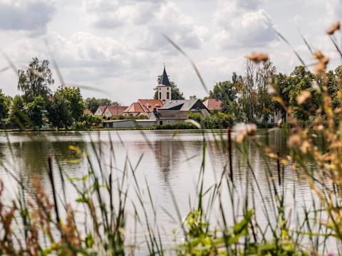 Teichlandschaft in Koselitz