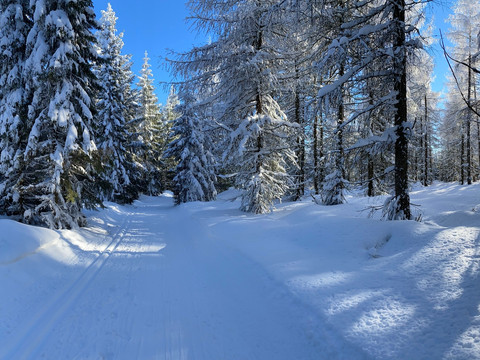 Loipe L3 Pöbelknochen Winter