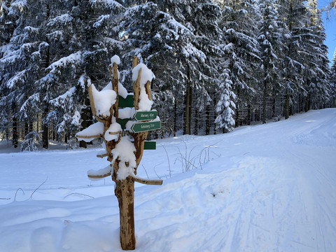 Loipe L3 Pöbelknochen Winter