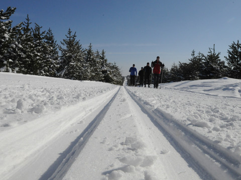 Skifahrer in der Loipe