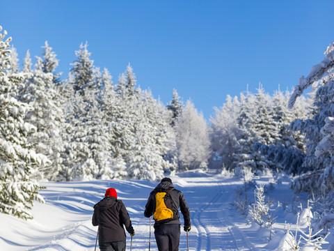 Skifahrer in der Loipe Winter im Erzgebirge