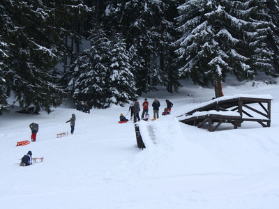 Rodeln am Ski-Alpinum Schulenberg