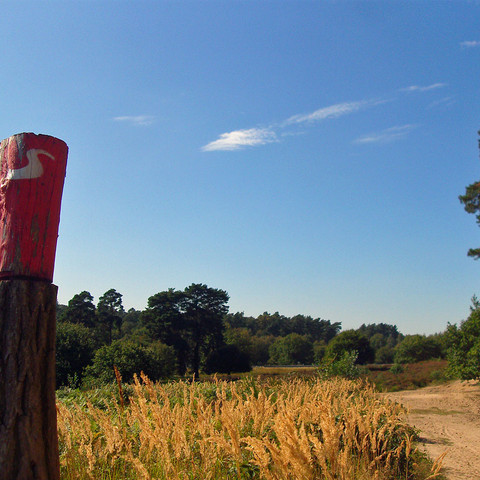 Wahner Heide