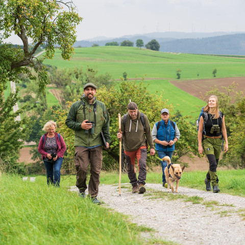 Naturpark Münden Wandern (c) Ralf König - n.A..jpg