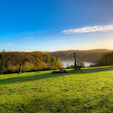 Ausblick auf die Wahnbachtalsperre