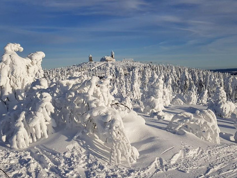 20190119_091108_copy_1134x637