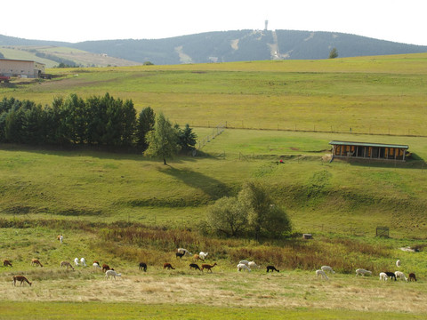 Ferienwohnung Aussicht