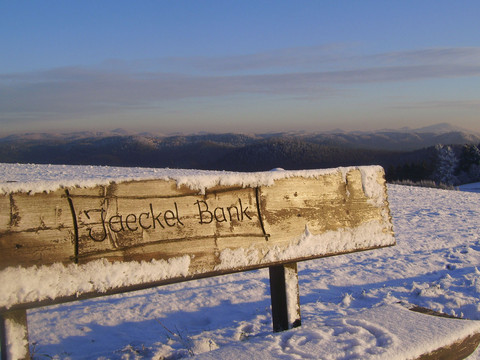 Jaeckel Bank in Hinterhermsdorf