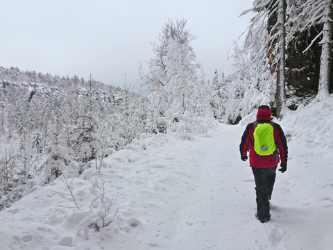 Auf dem Wormsbergweg