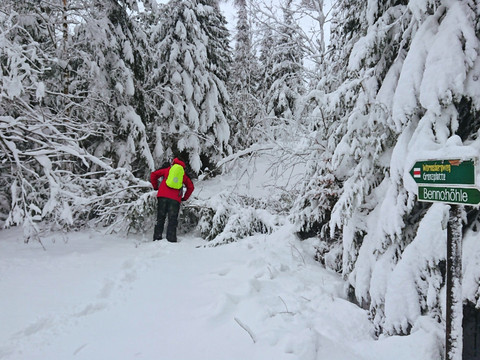 Wormsbergweg Richtung Grenzplatte